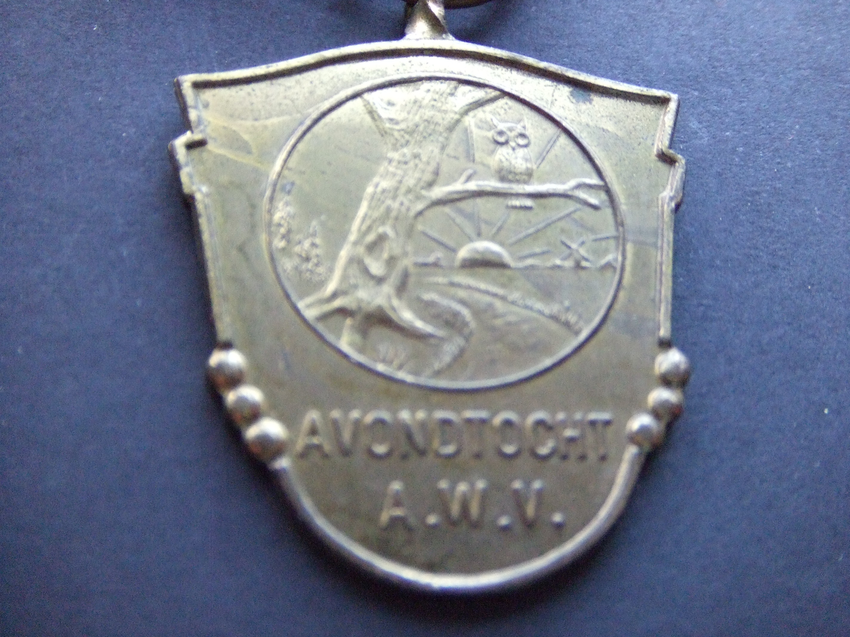 A.W.V. avondtocht wandelen Aalsmeer Uil nachtdier